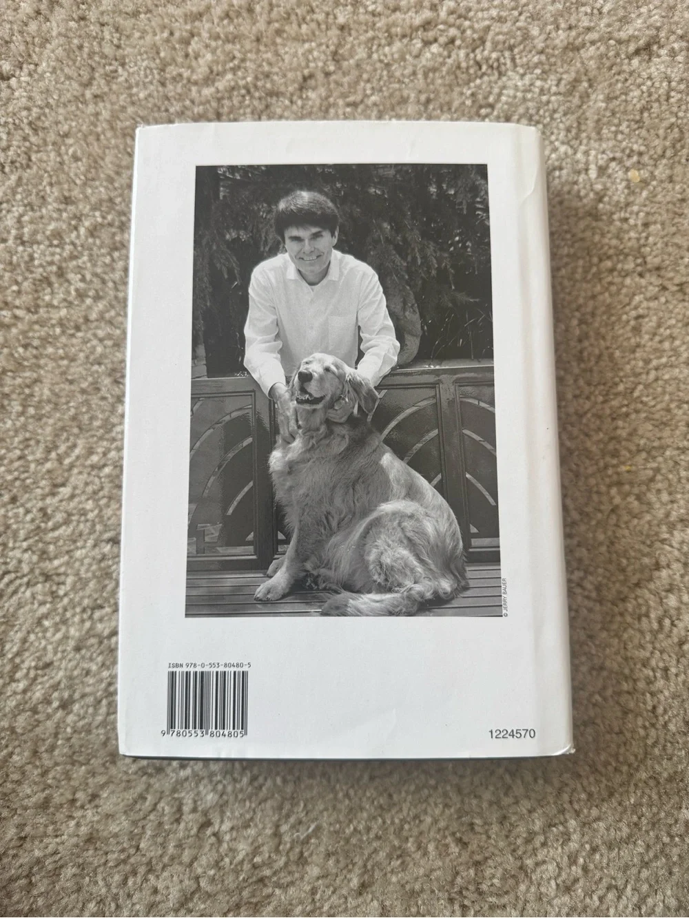 Brother Odd Paperback - Red/Purple Cover